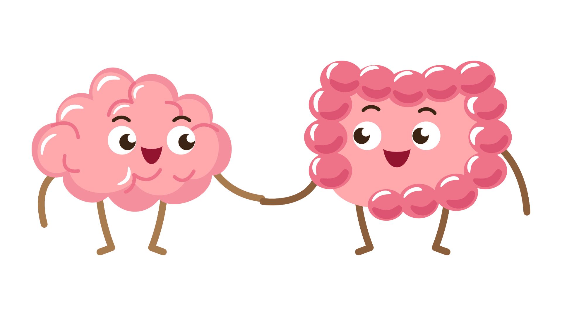 Del torrente sanguíneo al cerebro, pasando por el intestino: el viaje de los químicos continúa